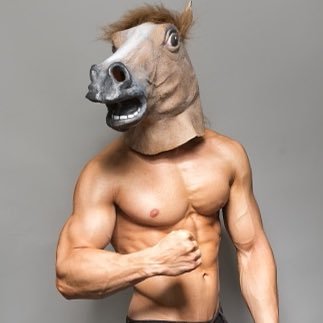 Haha funny horse mask