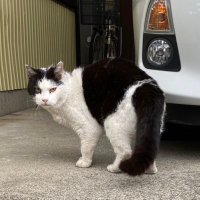 HRKのつぶやき(Sub) (@yuzu_raf_a) 's Twitter Profile