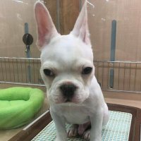 null(ヌル) (@null12117021) 's Twitter Profile