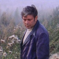 Justin Joque (@jjoque) 's Twitter Profile