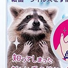 araiguma_tepika's profile picture. 