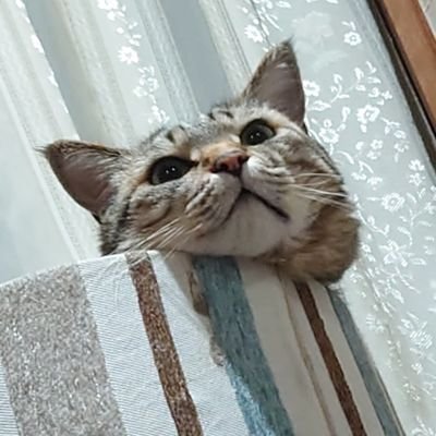 なつきさんのプロフィール画像