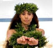 Relaxation is overrated!  Let us show you how to have some fun in Hawaii.  We know all the best tours and cool places to see while vacationing on the Islands.
