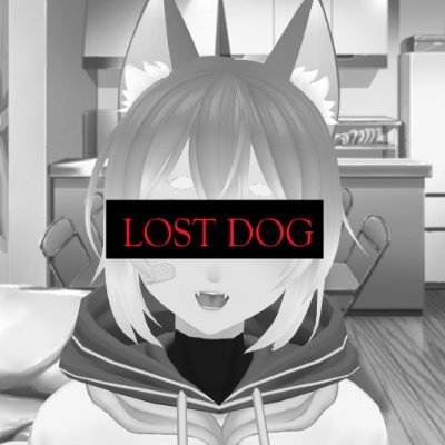 Cashew the Shiba Inu 2020-2021さんのプロフィール画像