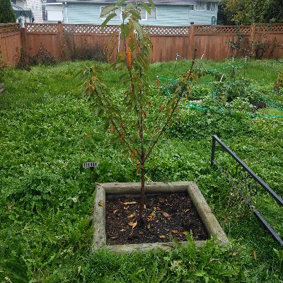 dubianniu's profile picture. Programming hobbist.