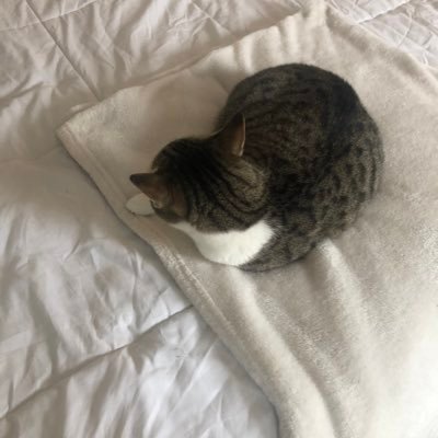 zizitheclown's profile picture. 