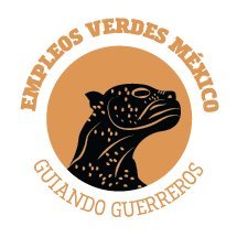 MexicoVerdes Profile Picture