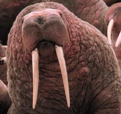 michaelfstanley's profile picture. social democracy with YIMBY characteristics, climate stuff, views not my employer's (obv.)