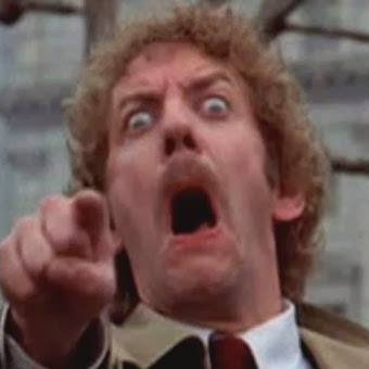 RoscoeMoscoe's profile picture. 