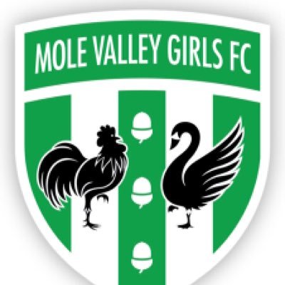 All girls grassroots football club covering Mole Valley and beyond. Training from age 5+ and teams from U8-U18. All girls, all ability, all welcome 💚