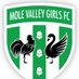 Mole Valley Girls FC (@MoleValleyGirls) Twitter profile photo