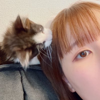 Caster_matusita's profile picture. 株式会社キャスター 在宅派遣ユニット❁¨̮ 
愛知県からビビりな猫とリモート中🐱 
※DMは返信にお時間を頂く場合があります。
 #フルリモートで働こう #リモートワーク #フルリモート #在宅派遣 #在宅勤務 #完全在宅
