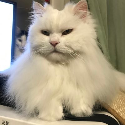 jeywee's profile picture. hi～
