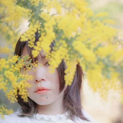 桐嶋けい📷さんのプロフィール画像