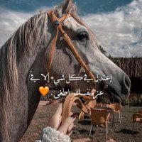 fofo alshehri (@ftom3313) 's Twitter Profile