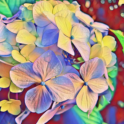 みくにさんのプロフィール画像