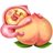 p_hoku