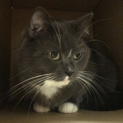 6sounds9's profile picture. 猫に生かされてる
甘党
NIN,MSP,Yellowcard,mutemath,EMINEM,BMTH,disclosureなど
#Letour