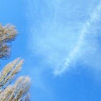Gospel Oak LPP J Cox (@lppgsoak) 's Twitter Profile