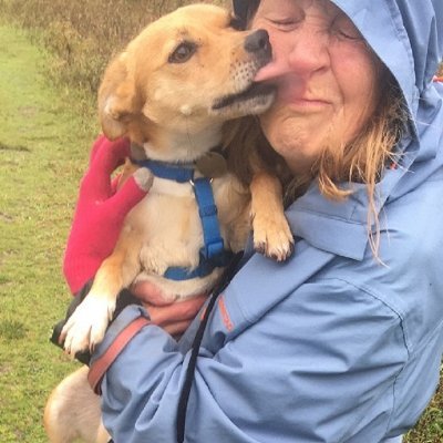 a walker at rescue remedies dog rescue near gatwick