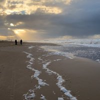 The Beach in the Long Twentieth Century (@readingthebeach) 's Twitter Profile Photo The Beach in the Long Twentieth Century (@readingthebeach) 's Twitter Profile Photo
