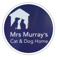 Mrs Murrays Cat and Dog Home(@mrsmurrays) 's Twitter Profile Photo