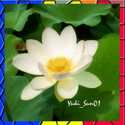Hate_DoseiDomei's profile picture. 著名人、芸能人etc知名度の高い者との同姓同名ハラスメント撲滅。子の名前にアニキャラ・芸能人・著名人と同姓同名にする虐めを駆逐せよ。同姓同名は就活しても内定貰えず貧困に陥る＃著明人、芸能人、知名度の高い者と同姓同名撲＃芸能神社の害毒名＃真当な姓名の戸籍を‼️＃辞めよう望まぬ💢同姓同名