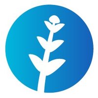 TAMSALL_project (@tamsallproject) 's Twitter Profile