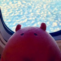 ぎだ (@abara_sub) Twitter profile photo