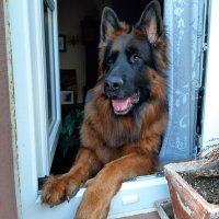 Kommissar Hunter (@hunterrockt) 's Twitter Profile