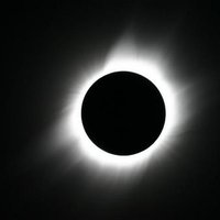 NZK (@yoyonoza) 's Twitter Profile