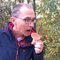 Graham Stewart (@_grahamstewart) 's Twitter Profile