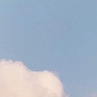 🈯 (@y_bi_yu) 's Twitter Profile