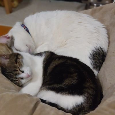 3snV5PpxvEj80oP's profile picture. 