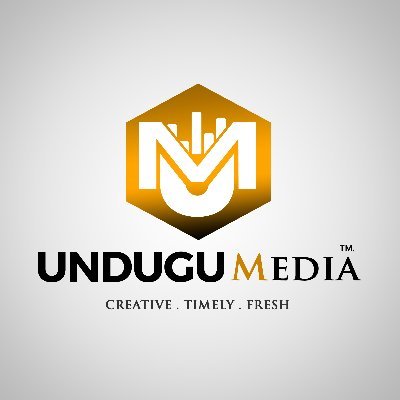 UnduguMedia's profile picture. 