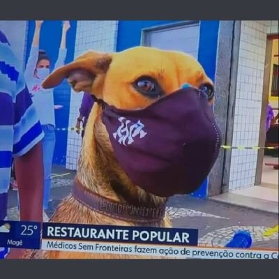 JNRSM2's profile picture. 