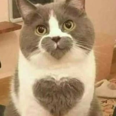 mau cari teman yg usia 45+ .. penyayang gak neko2.. usiaku 36thn suka sama yg tua .. yg kucari bukan materi ..hanya yg baik dan penyayang tulus menerimaku..