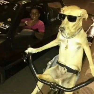 FrootLo85985460's profile picture. 