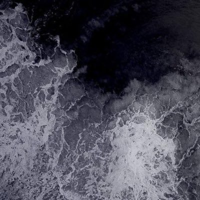 CalvicTrellis's profile picture. 