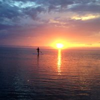 Mark Donahue (@mpdbeachcomber) 's Twitter Profile
