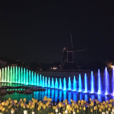 nishii98977559's profile picture. 広大理学部化学科03