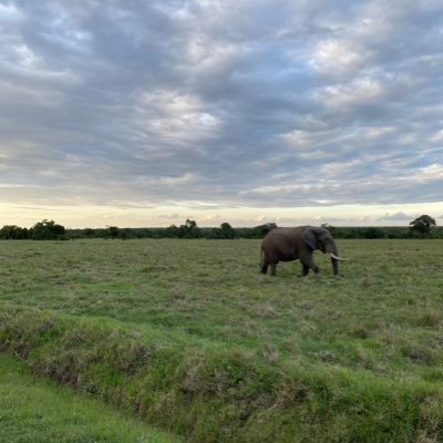 Kamau110's profile picture. 