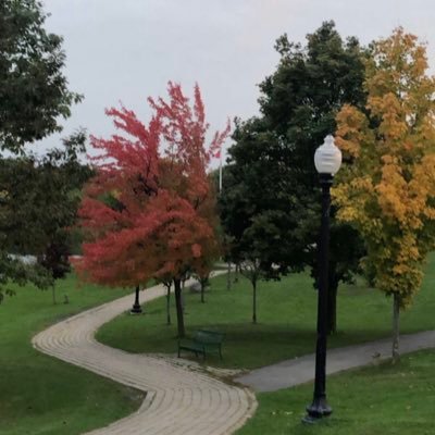 Nlytl_'s profile picture. 