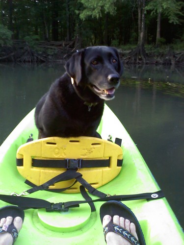 CCMilton's profile picture. The University of Alabama / Mexico Beach, FL