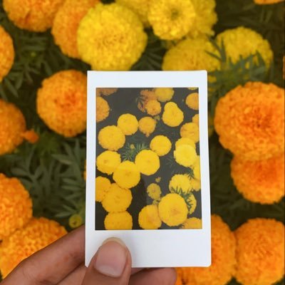 Tannster09's profile picture. Here to watch the fun unfold