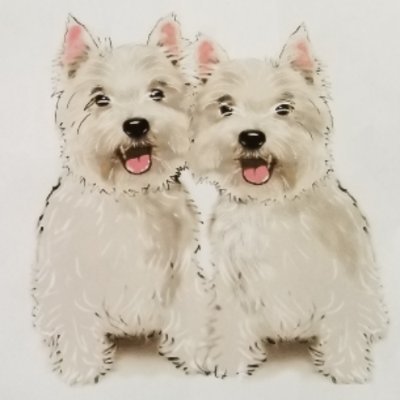 Izzy_Zoey_Read's profile picture. Izzy and Zoey, West Highland Terriers write and publish their own books! Read these adorable children's adventure stories and the silly antics of the sisters!