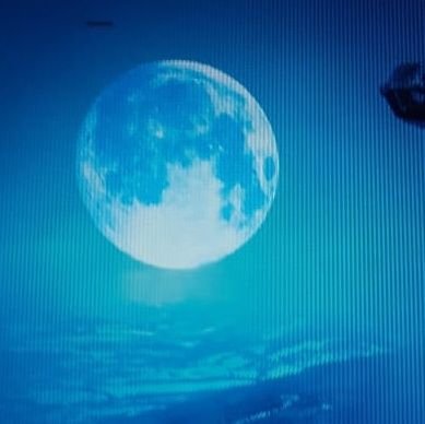 2MBilir's profile picture. 