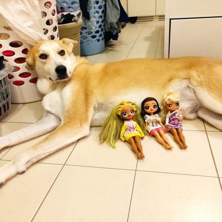 qt45y's profile picture. 