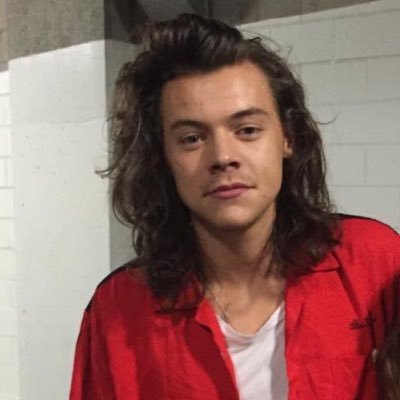 hrrysbunnyy's profile picture. 