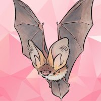Monica, Cave's Bat 🦇💋 (@monicacryptobat) 's Twitter Profile